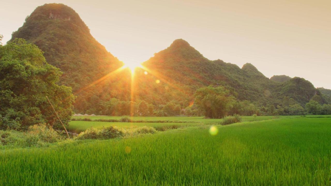 Tam Coc Marina Villa نينه بينه المظهر الخارجي الصورة